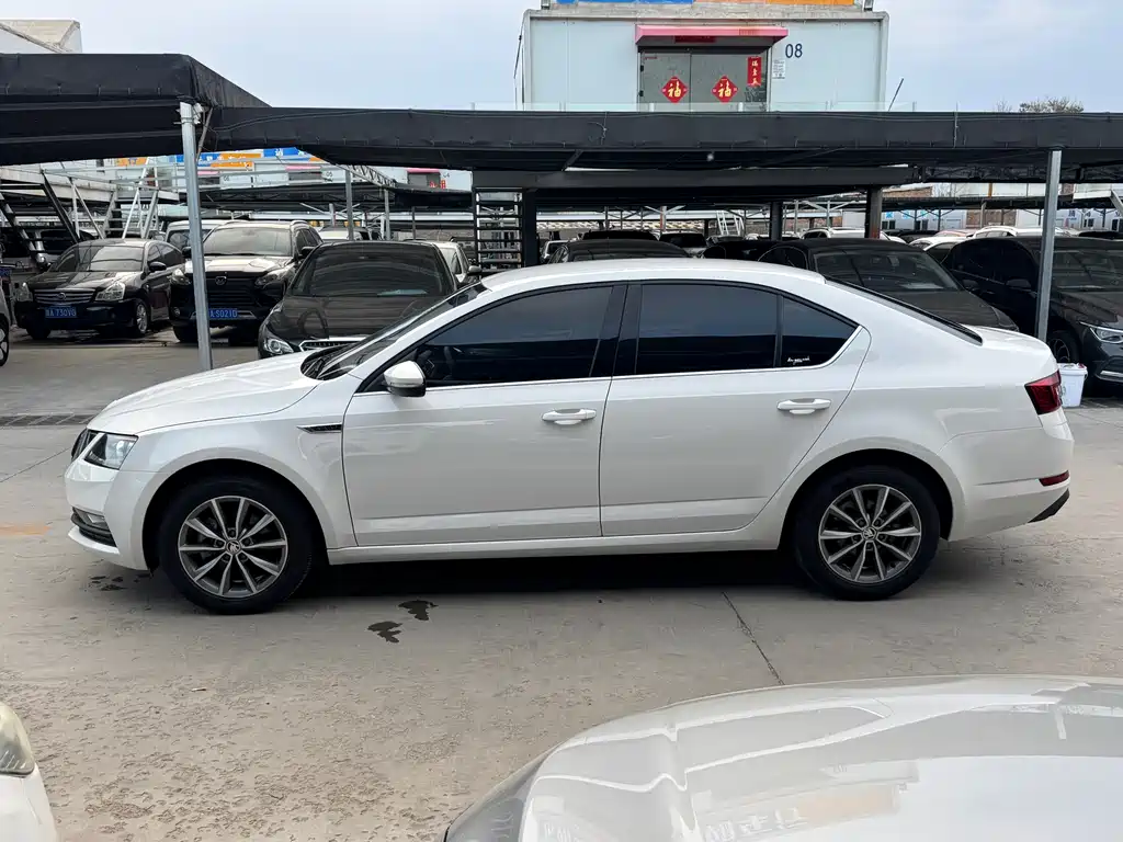 Skoda Octavia 2019 — фото 2