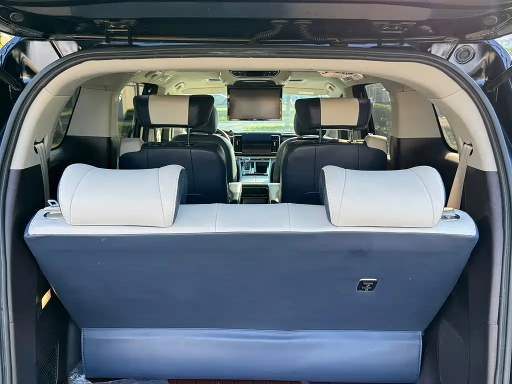 GAC Trumpchi M8 2021 — фото 19