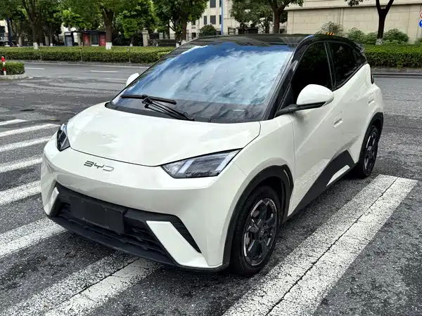 BYD Seagull 2024