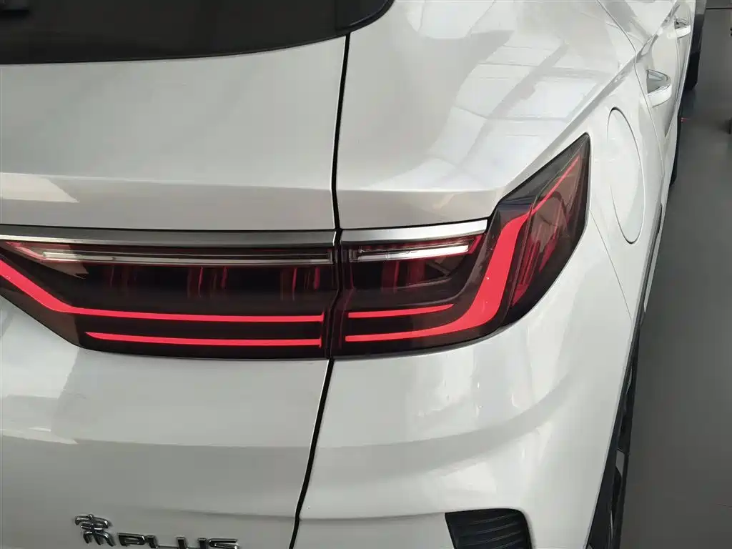 BYD PLUS New Energy 2022 — фото 8