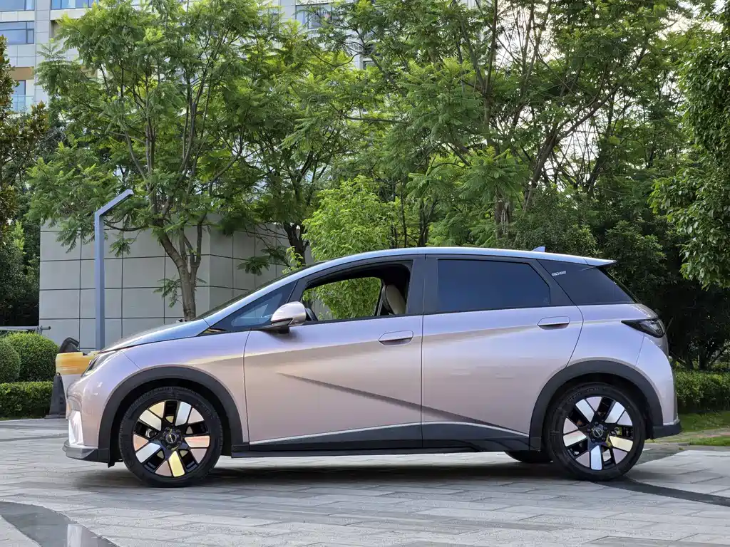 BYD Dolphin 2022