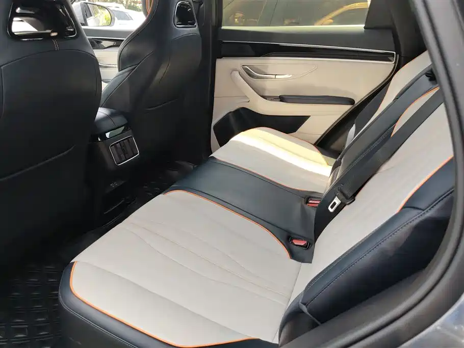 BYD PLUS New Energy 2023 — фото 11