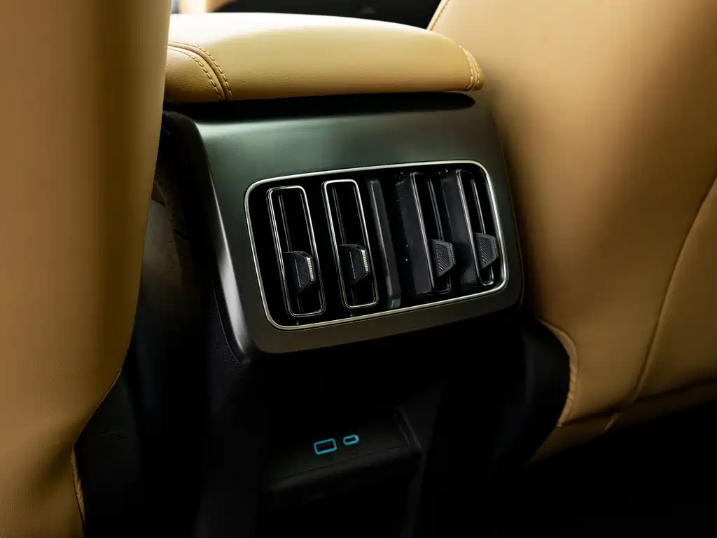 BYD L DM-i 2025 — фото 14
