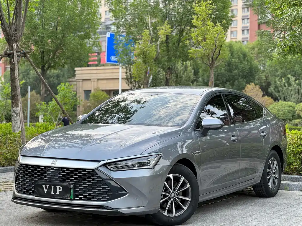 BYD Qin PLUS 2024 — фото 1
