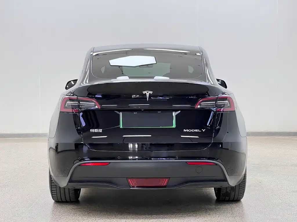 Tesla Model Y 2021 — фото 6