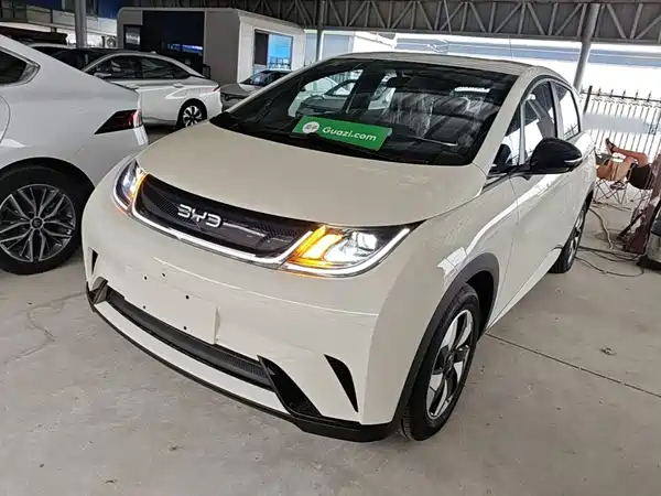 BYD Dolphin 2025