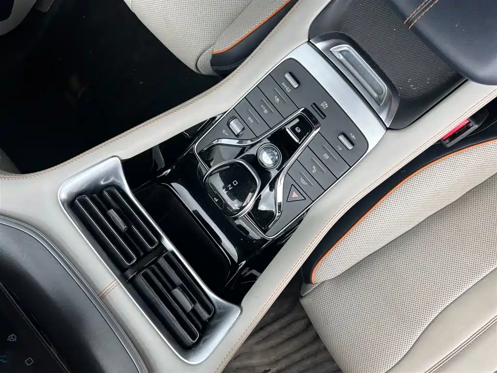 BYD PLUS New Energy 2021 — фото 15