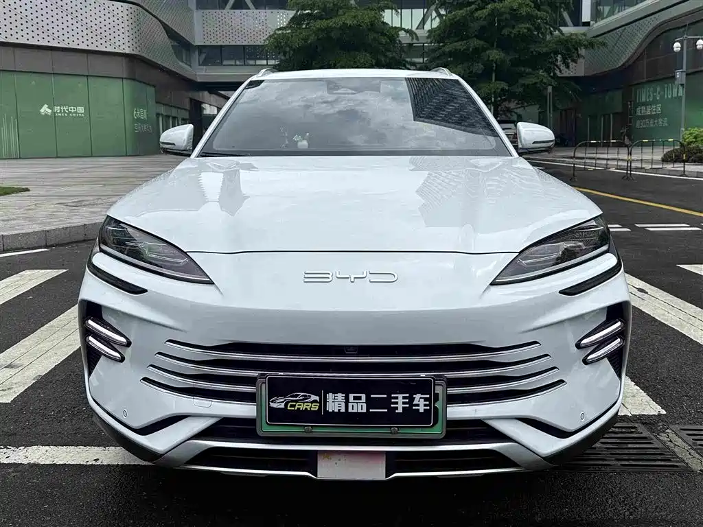 BYD PLUS New Energy 2023 — фото 2