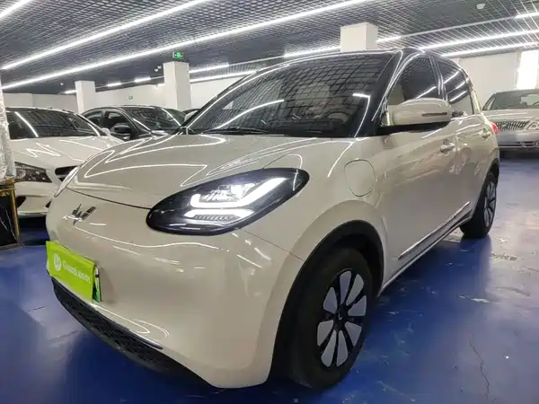 Wuling Bingo 2024