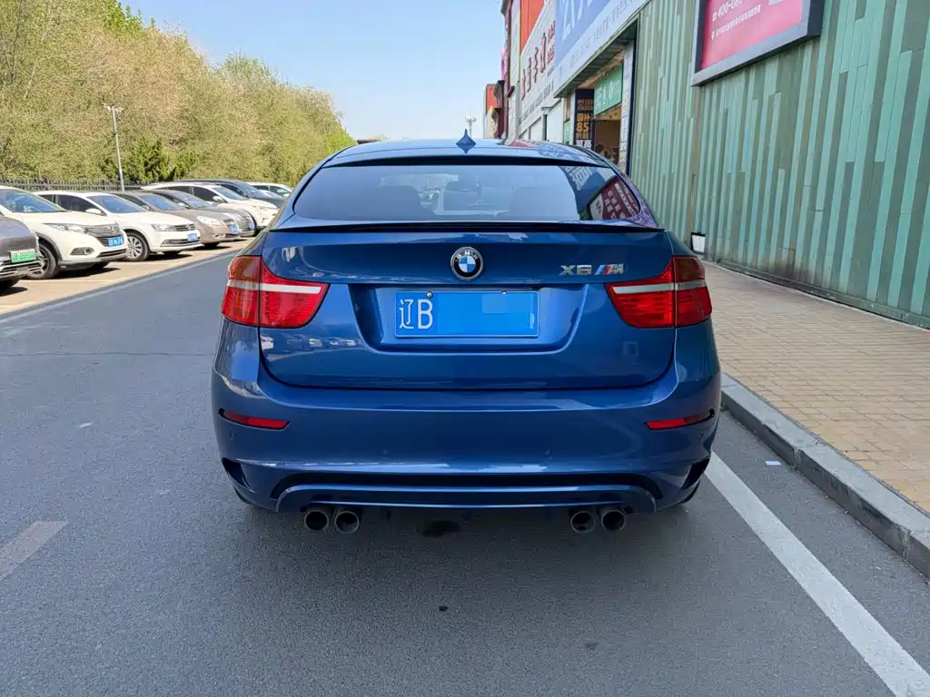 BMW X6 M 2010 — фото 12