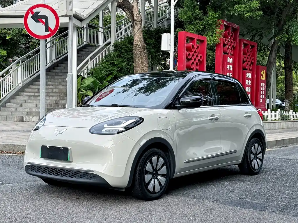 Wuling Bingo 2024