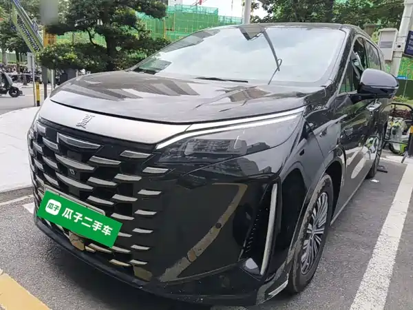 BYD Summer 2025