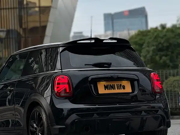 MINI MINI 2022