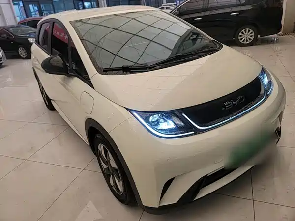 BYD Dolphin 2024