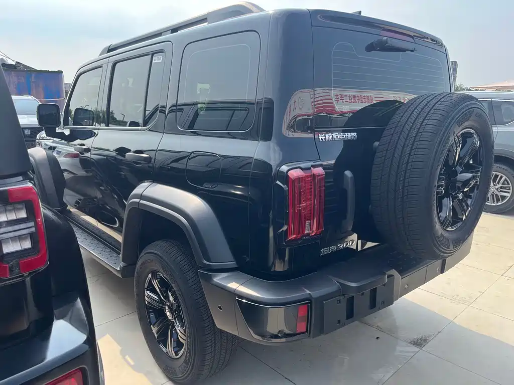 Tank 300 2026 — фото 18