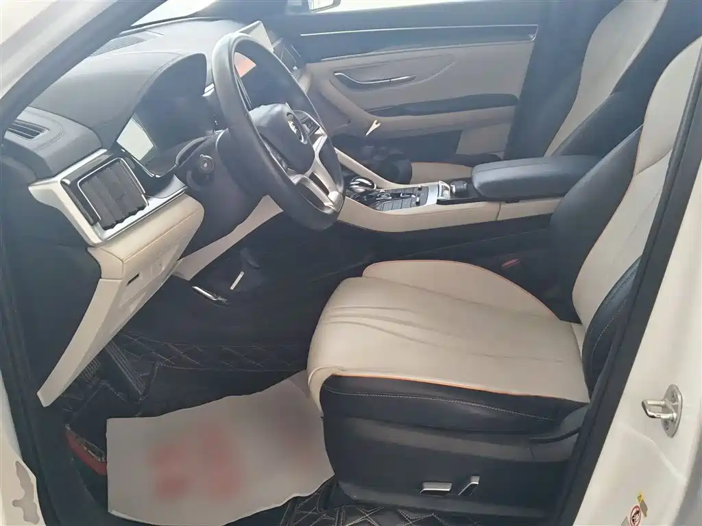 BYD PLUS New Energy 2022 — фото 15