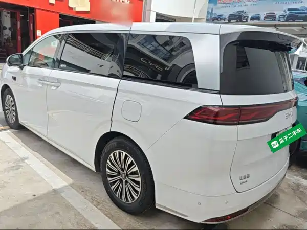 BYD Summer 2025