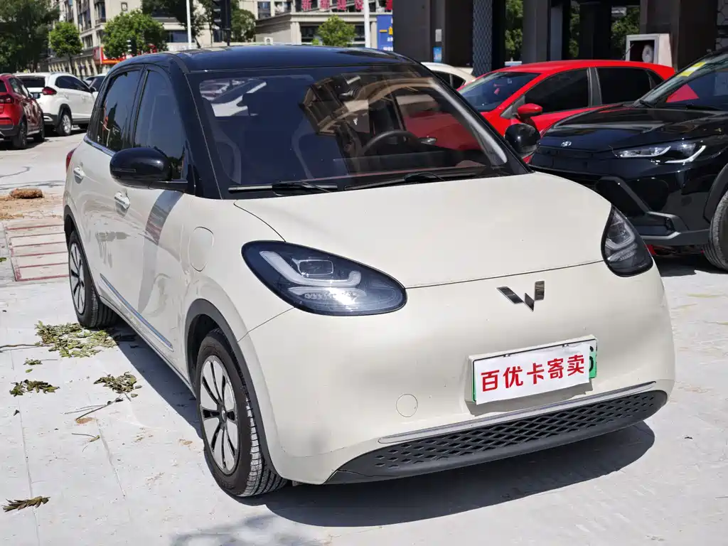 Wuling Bingo 2024