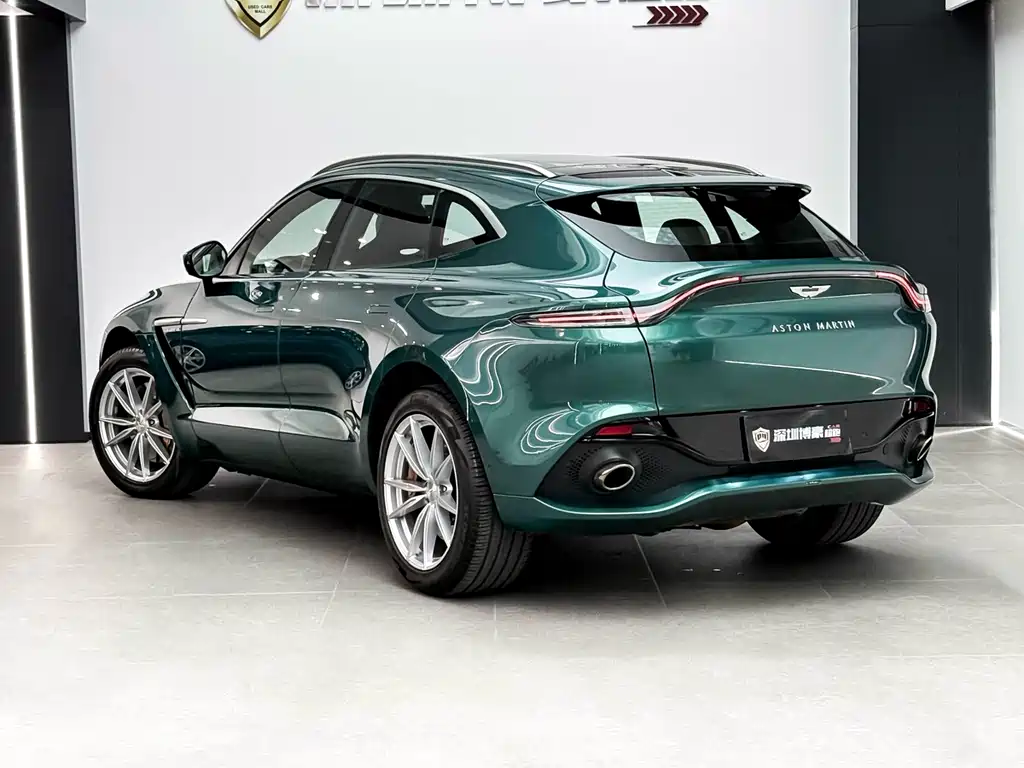 Aston Martin DBX 2023 — фото 21