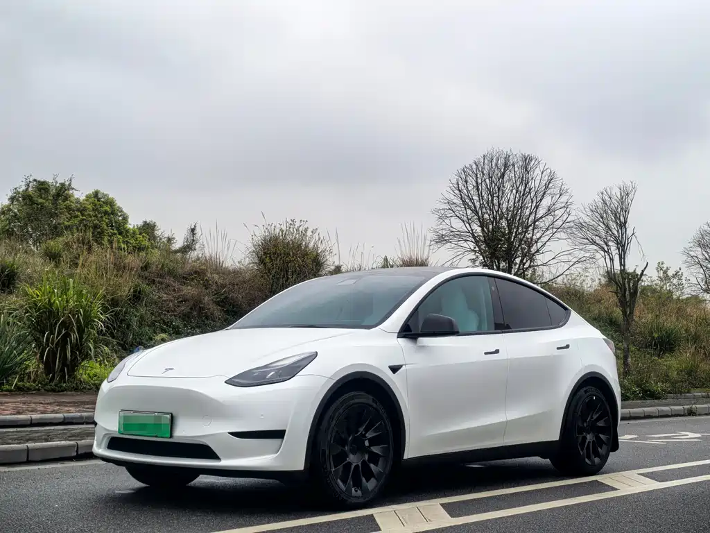 Tesla Model Y 2023 — фото 1