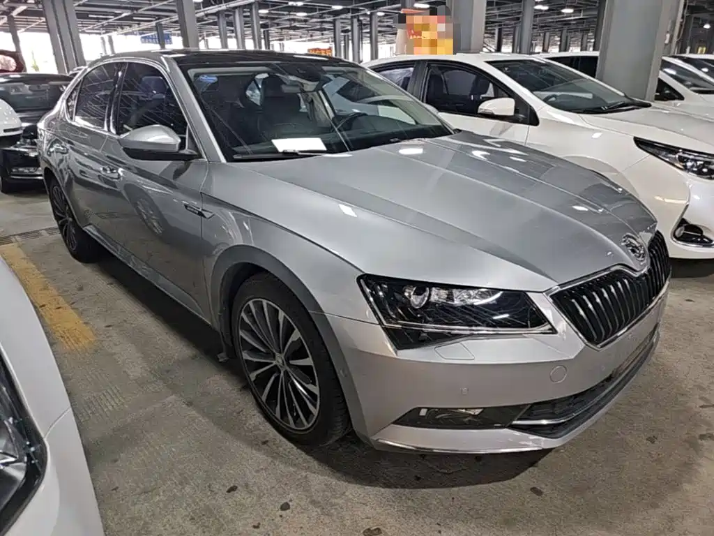 Skoda Speedy 2018
