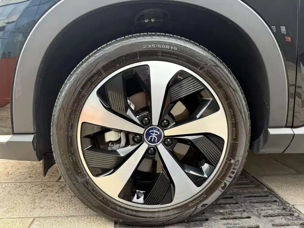 BYD PLUS New Energy 2023 — фото 14