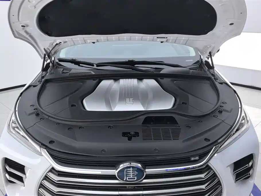 BYD Tang New Energy 2019 — фото 10