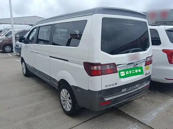 Jinbei Golden Sea Lion M Classic 2022