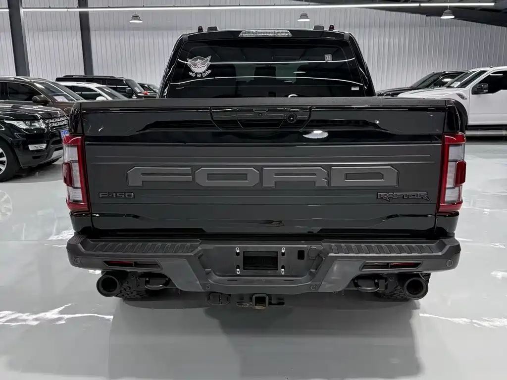 Ford F-150 Raptor 2023 — фото 9