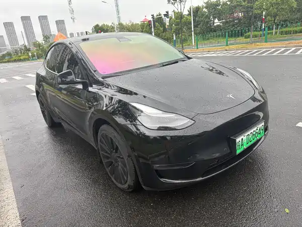 Tesla Model Y 2021