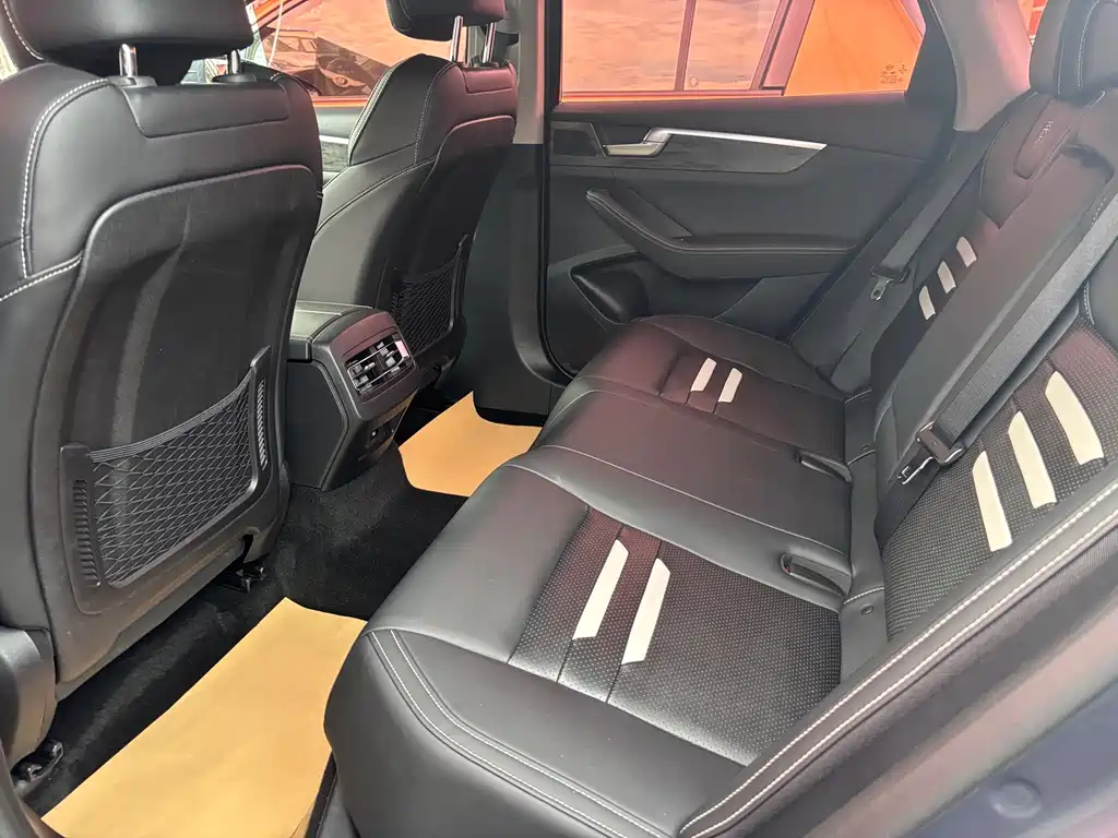 BYD Qin Pro New Energy 2020 — фото 12
