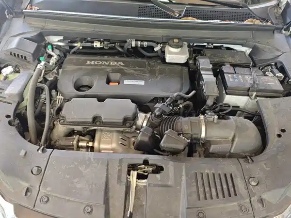 Honda Avancier 2024