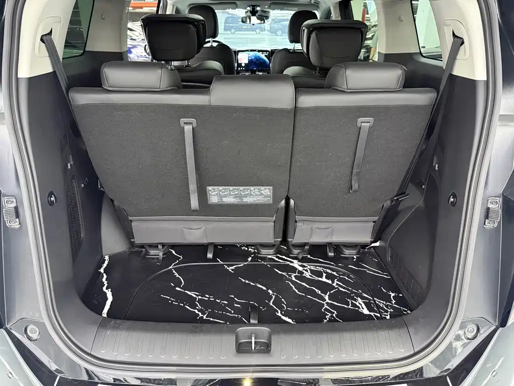 GAC Trumpchi M8 2024 — фото 25