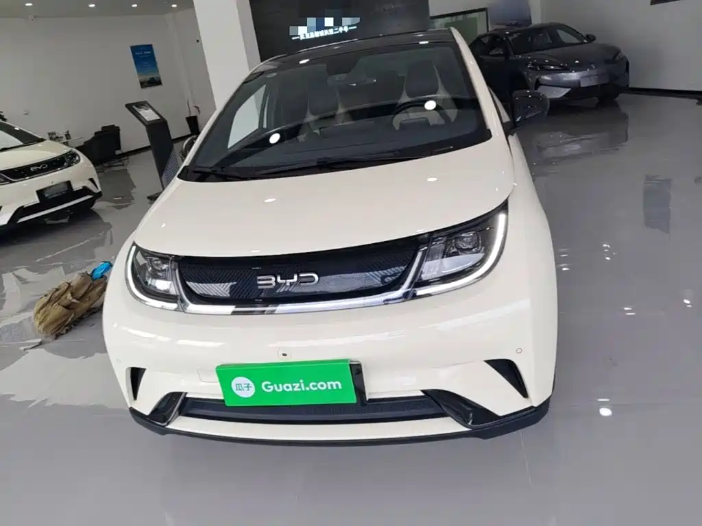 BYD Dolphin 2024