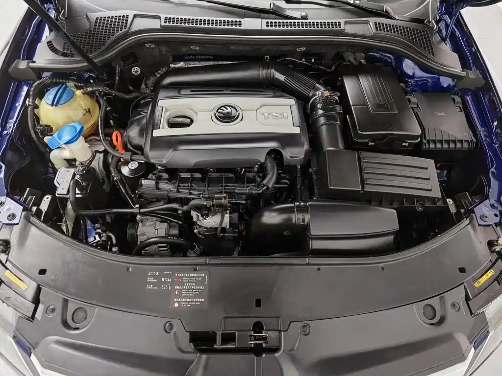 Skoda Speedy 2015