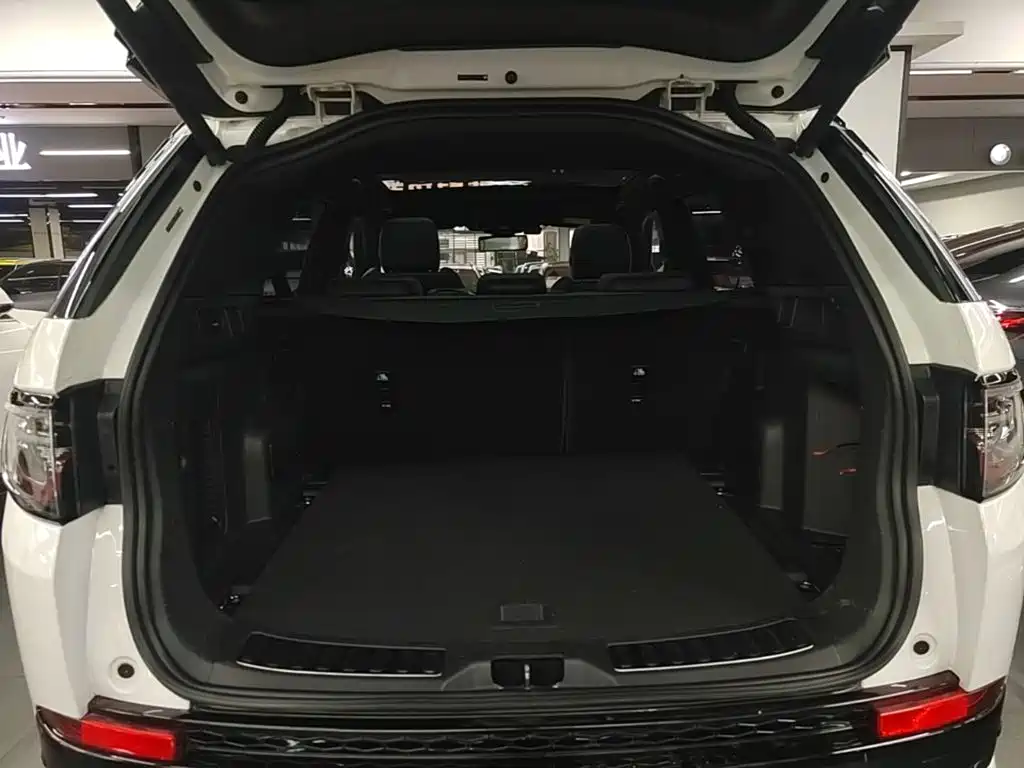 Land Rover Discovery Sport 2020 — фото 19