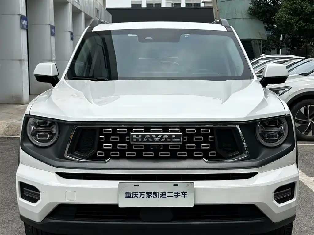 Haval Dog PLUS 2024 — фото 18