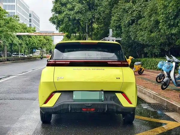 BYD Seagull 2024