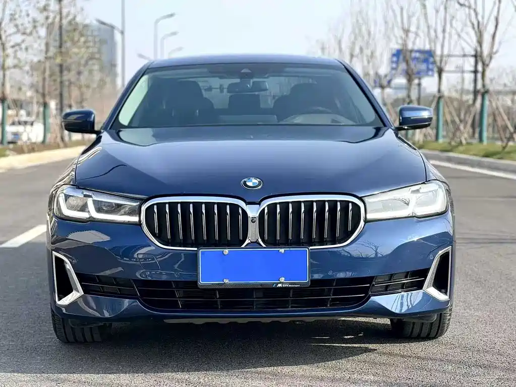 BMW 5 Series 2021
