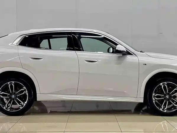 BMW X2 2024