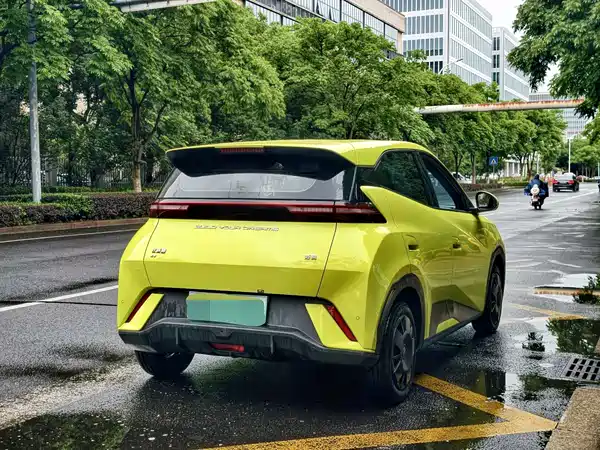 BYD Seagull 2024