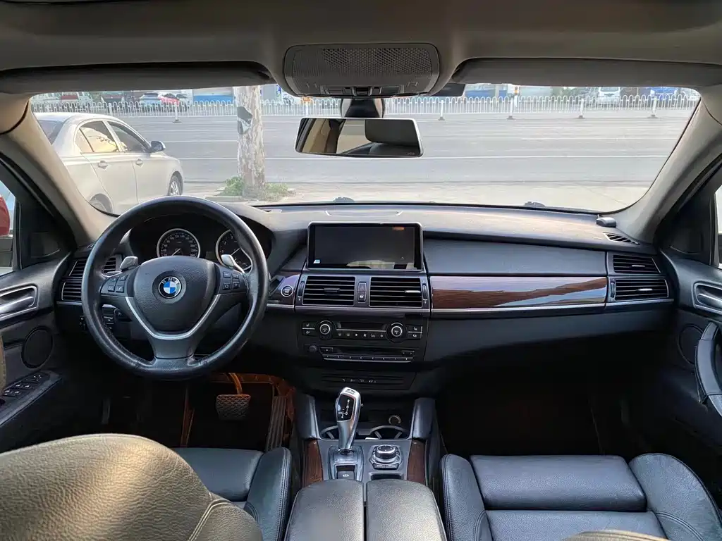 BMW X6 2010