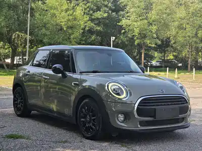 MINI MINI 2019