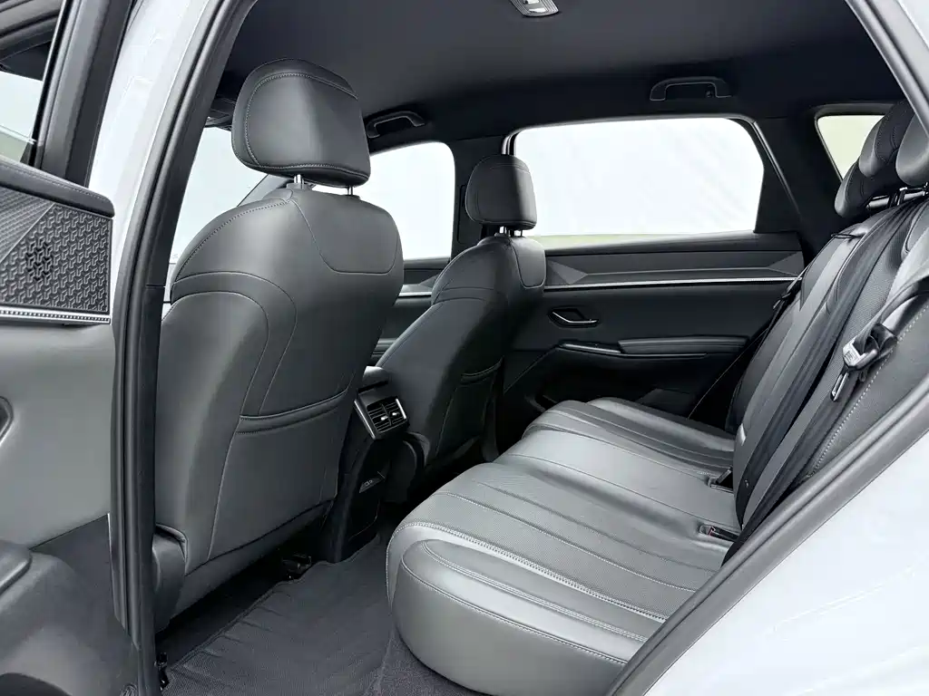 BYD Song Pro New Energy 2025 — фото 10