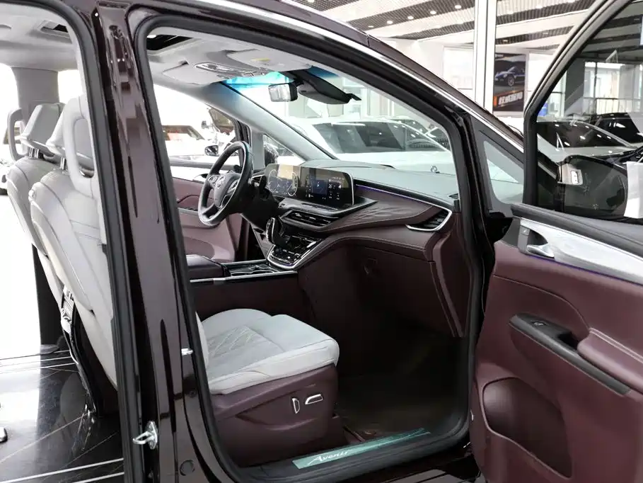 Buick GL8 2022 — фото 21
