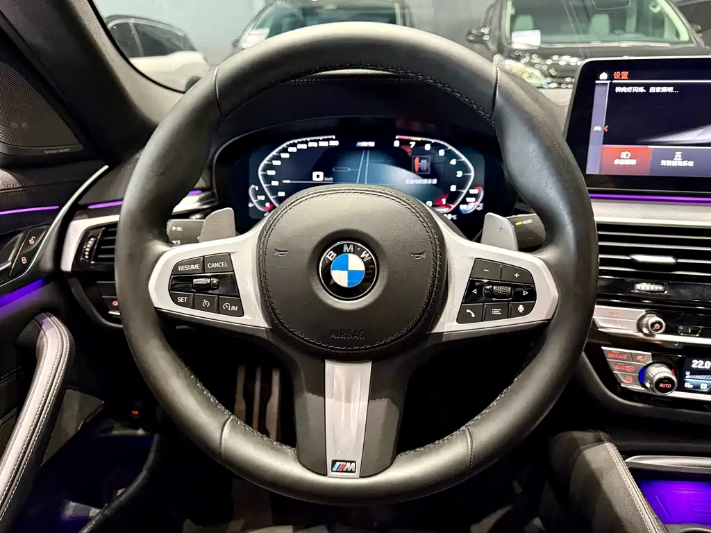 BMW 5 Series 2021