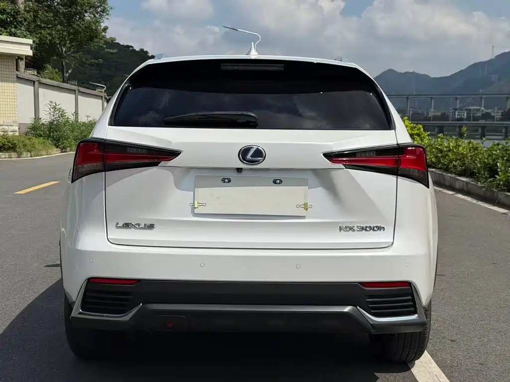 Lexus NX 2020 — фото 11