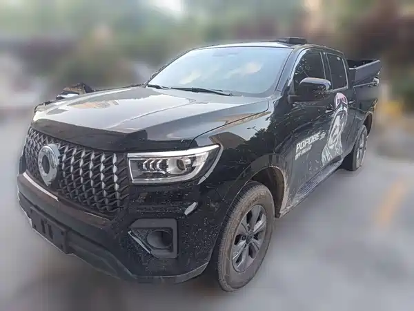 Great Wall Poer 2025