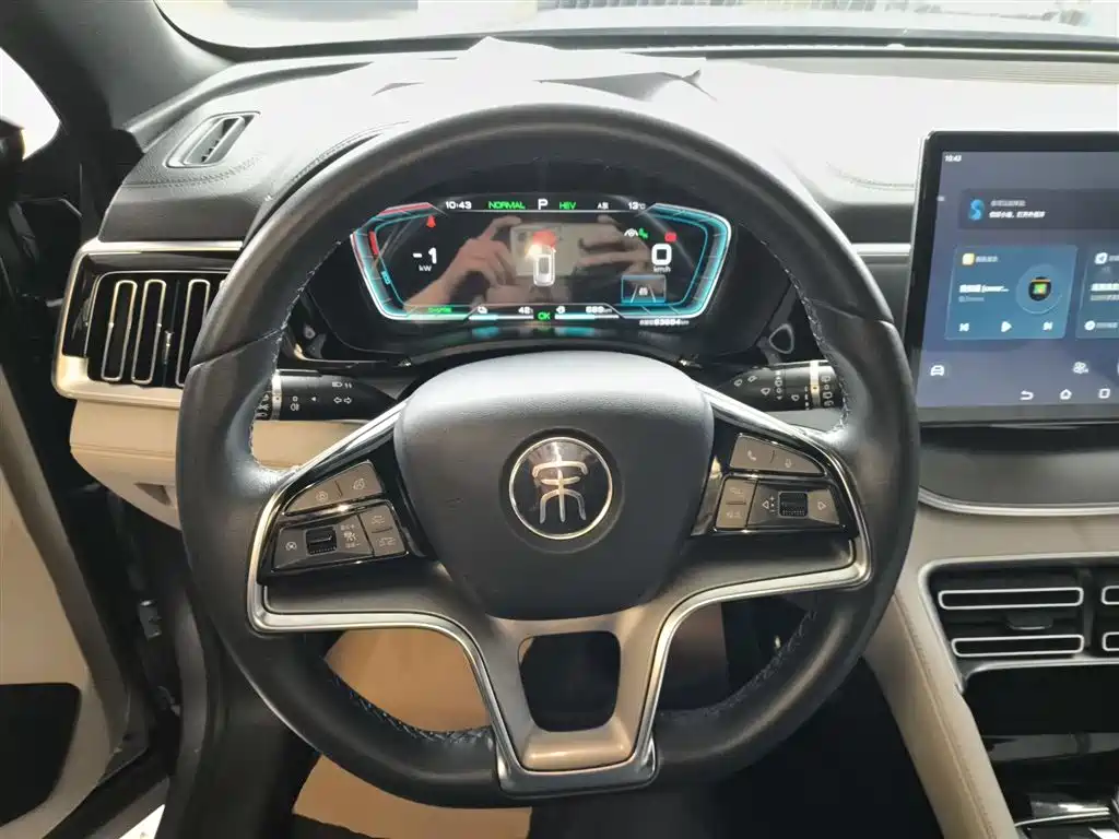 BYD PLUS New Energy 2022 — фото 11