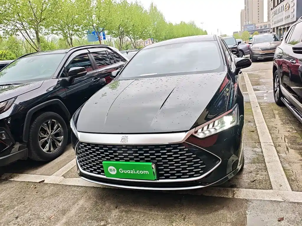 BYD Qin PLUS 2024 — фото 3